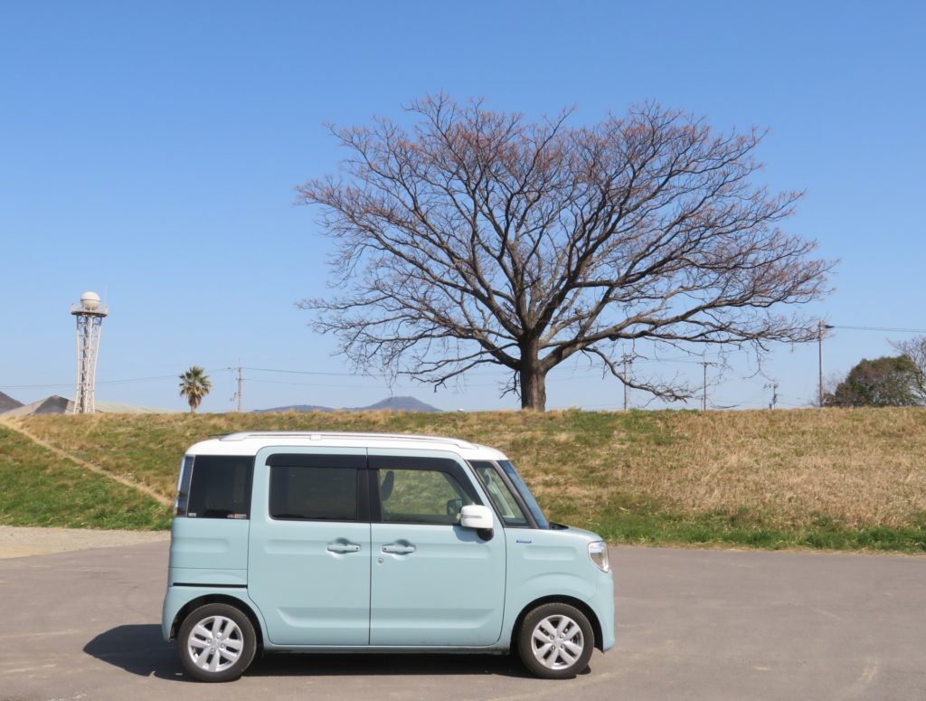 田舎でカーリースという選択肢はありか、なしか